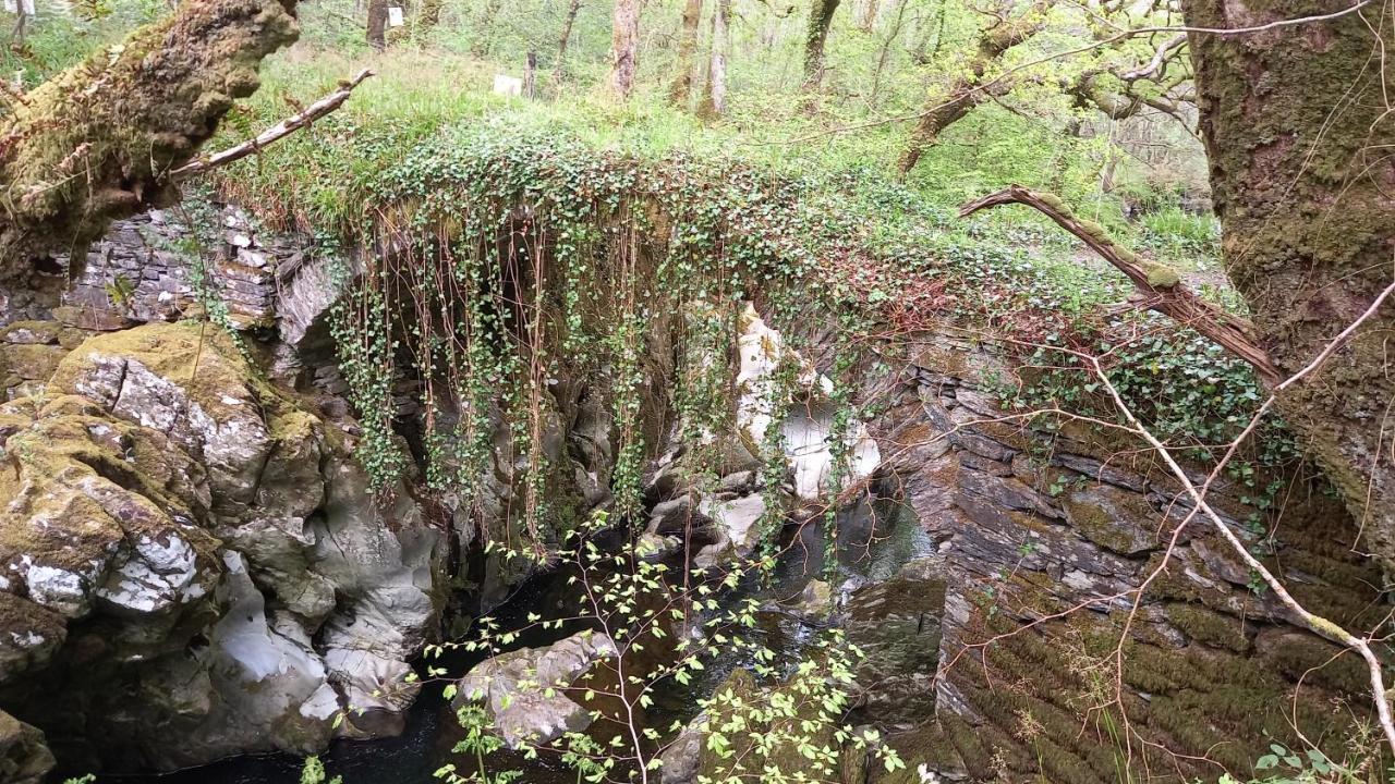 Merrion Betws Y Coed Conwy